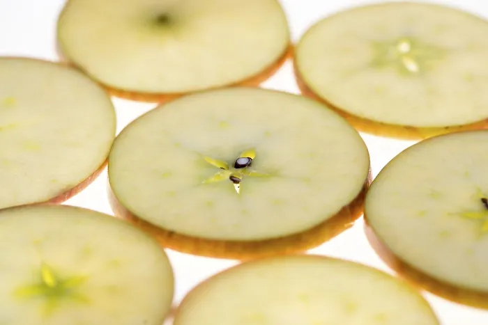 Stampa con cornice : Mezzo melone.
