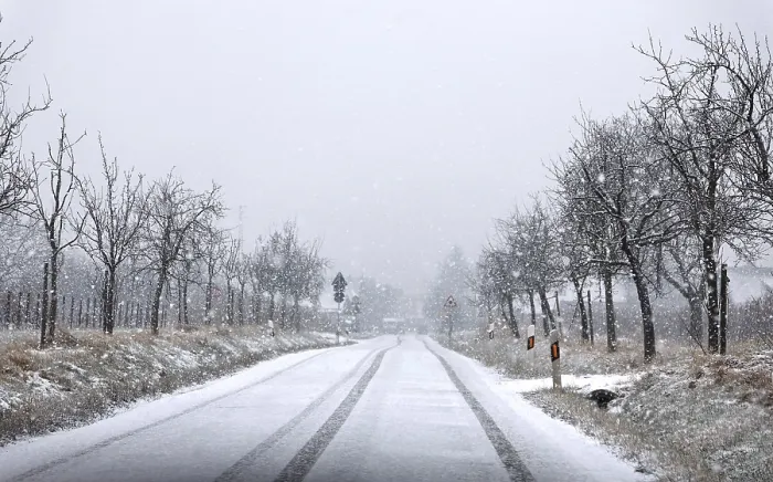 Stampa con cornice : Snowfall Stampa con cornice : Snowfall