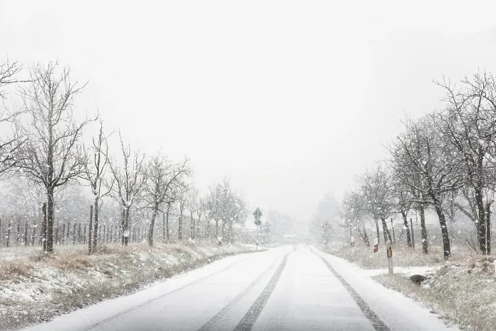 Stampa con cornice : Snowfall Stampa con cornice : Snowfall