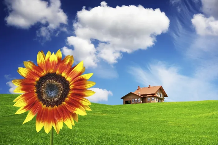 Stampa con cornice : Casa di Primavera