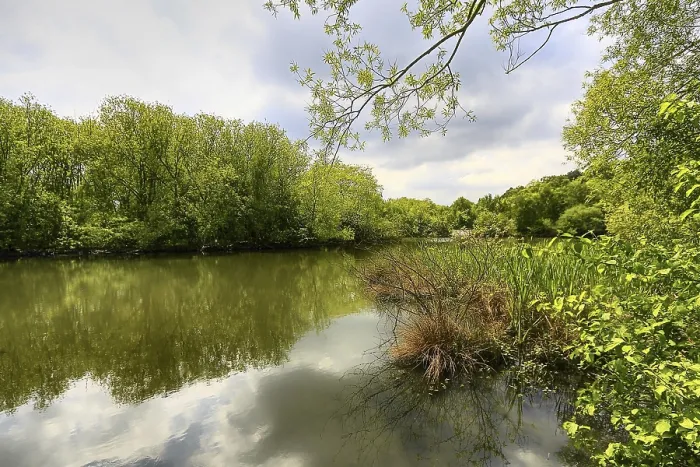 Stampa con cornice : Lago di primavera Stampa con cornice : Lago di primavera