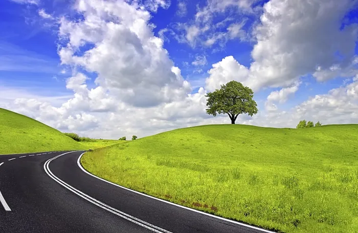 Stampa con cornice : Strada di primavera Stampa con cornice : Strada di primavera