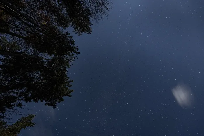 Stampa con cornice : Cielo stellato con alberi, Ternitz. Stampa con cornice : Cielo stellato con alberi, Ternitz.