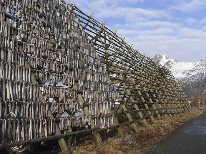 Stampa con cornice : Stockfish Stampa con cornice : Stockfish