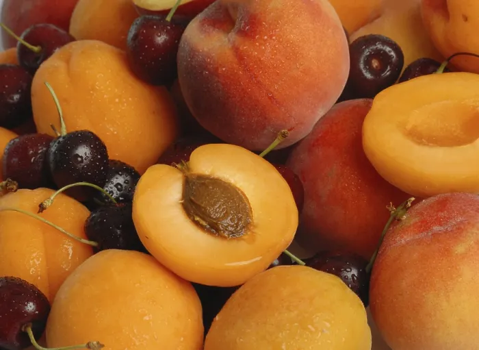 Stampa con cornice : Frutta pietrosa
