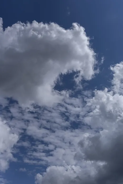 Stampa con cornice : Nuvole stratocumuli (Stratocumulus). Stampa con cornice : Nuvole stratocumuli (Stratocumulus).