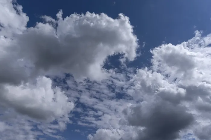 Stampa con cornice : Nuvole stratocumuli (Stratocumulus). Stampa con cornice : Nuvole stratocumuli (Stratocumulus).