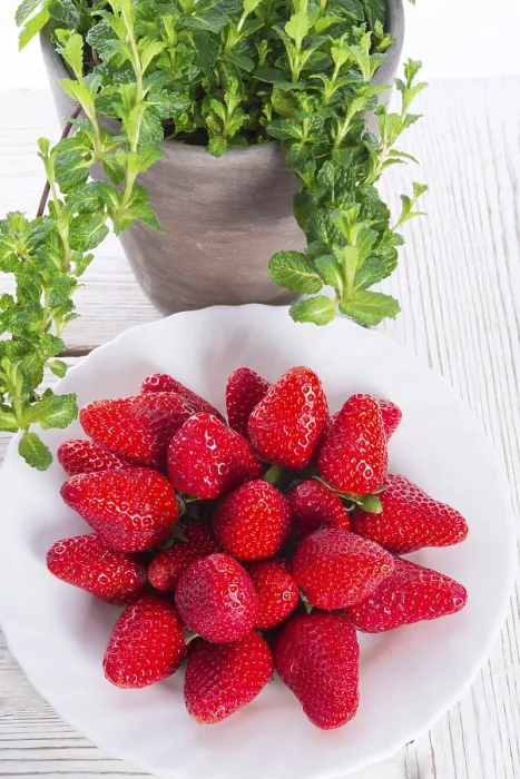 Stampa con cornice : Fragole e menthe. Stampa con cornice : Fragole e menthe.