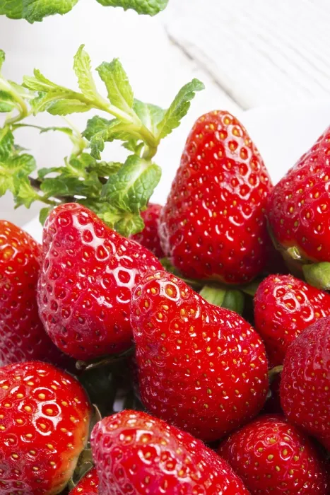 Stampa con cornice : Fragole e menta. Stampa con cornice : Fragole e menta.