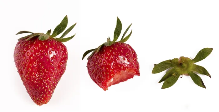 Stampa con cornice : Strawberry Stampa con cornice : Strawberry