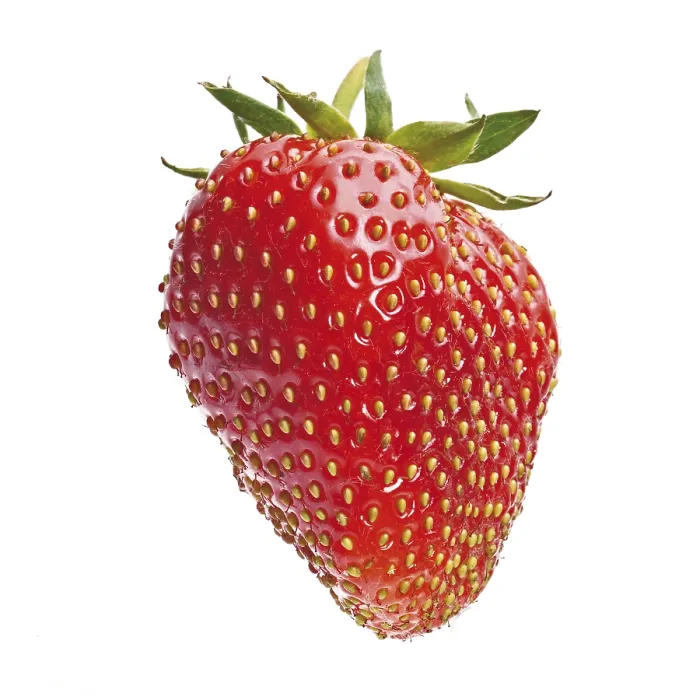 Stampa con cornice : Strawberry Stampa con cornice : Strawberry