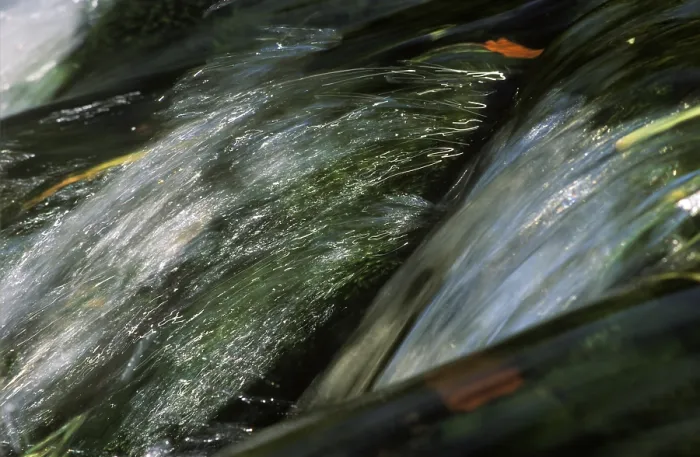 Stampa con cornice : Stream Germania Stampa con cornice : Stream Germania