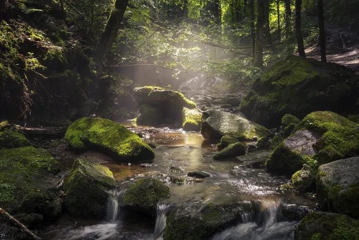 Stampa con cornice : Un torrente con rocce e muschio in luce diffusa. Stampa con cornice : Un torrente con rocce e muschio in luce diffusa.