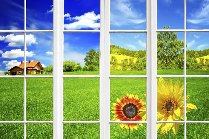 Stampa con cornice : Summer Stampa con cornice : Summer