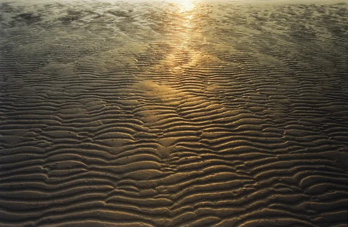 Stampa con cornice : Sunset Stampa con cornice : Sunset