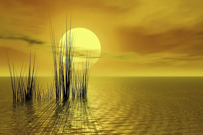 Stampa con cornice : Sunset