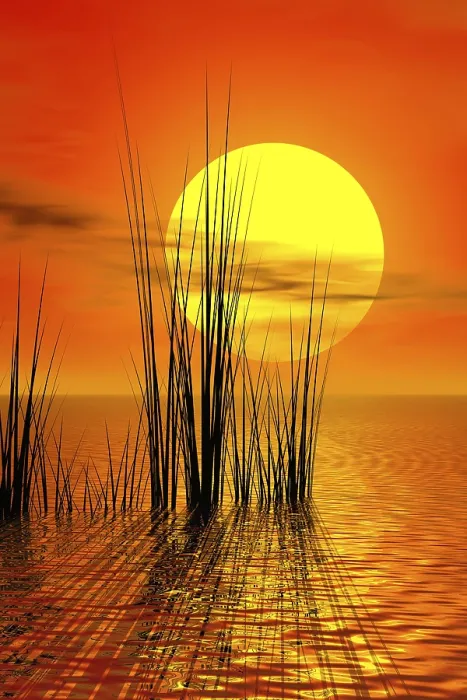 Stampa con cornice : Sunset Stampa con cornice : Sunset