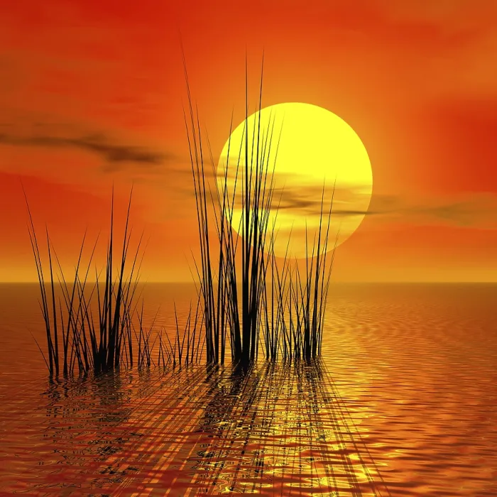 Stampa con cornice : Sunset Stampa con cornice : Sunset