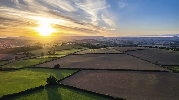 Stampa con cornice : Tramonto su Devon Fields, Berry Pomeroy.