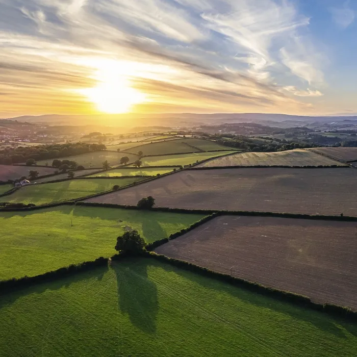 Stampa con cornice : Tramonto su Devon Fields da un drone. Stampa con cornice : Tramonto su Devon Fields da un drone.