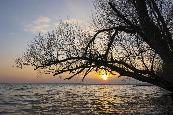 Stampa con cornice : Tramonto a Dummer, Lembruch.
