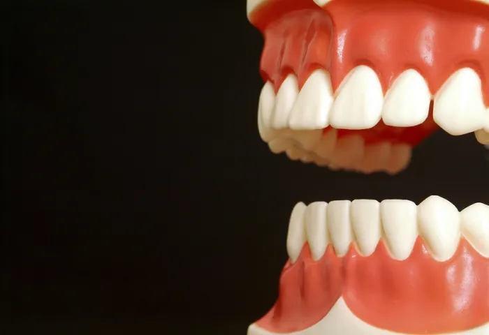 Stampa con cornice : Teeth Stampa con cornice : Teeth