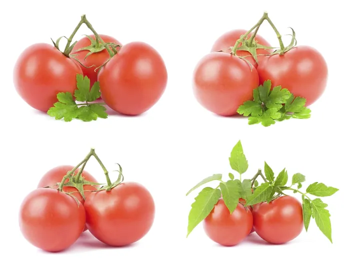 Stampa con cornice : Tomato Stampa con cornice : Tomato