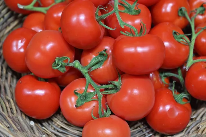 Stampa con cornice : Tomatoes Stampa con cornice : Tomatoes