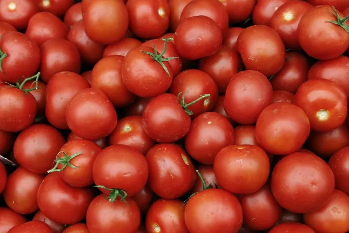Stampa con cornice : Tomatoes Stampa con cornice : Tomatoes