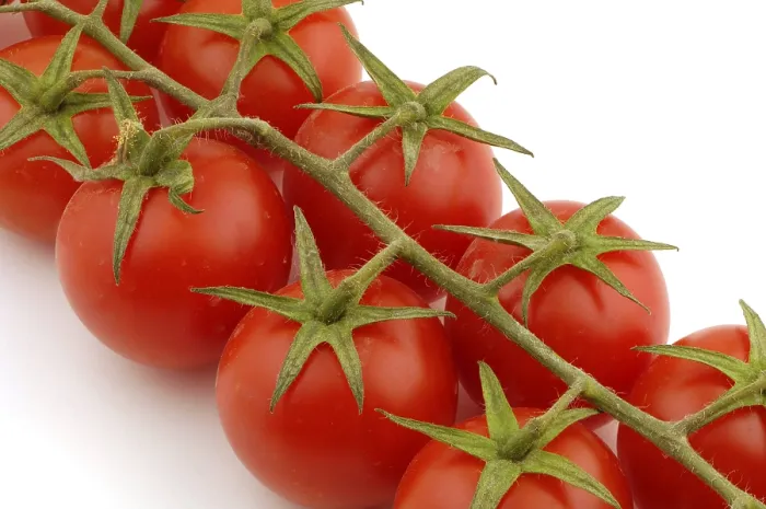 Stampa con cornice : Tomatoes Stampa con cornice : Tomatoes