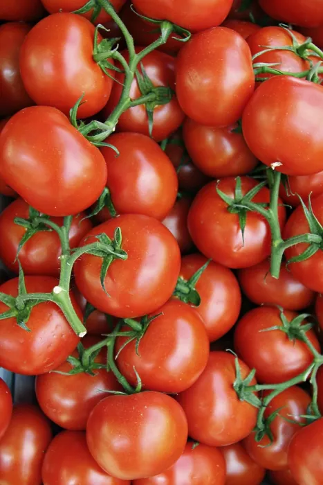Stampa con cornice : Tomatoes