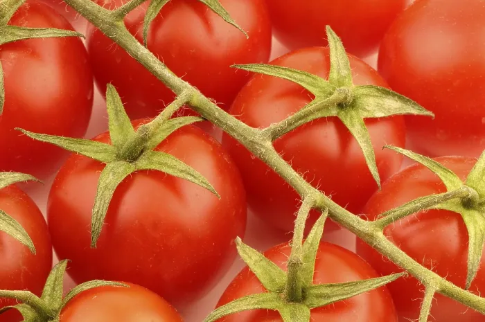 Stampa con cornice : Tomatoes Stampa con cornice : Tomatoes