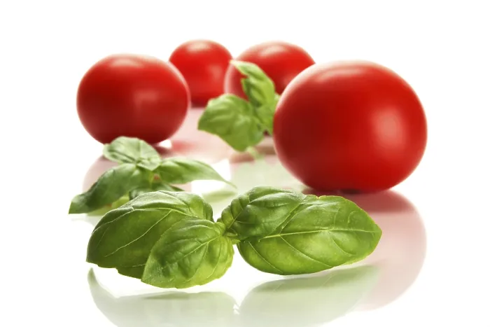 Stampa con cornice : Pomodori e basilico. Stampa con cornice : Pomodori e basilico.