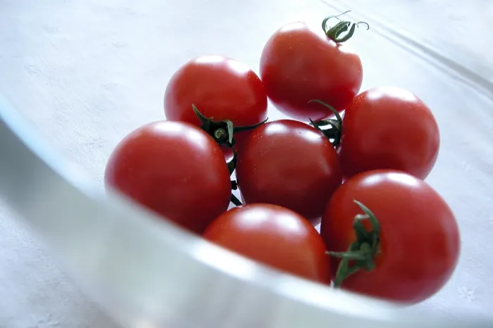 Stampa con cornice : Tomatos Stampa con cornice : Tomatos