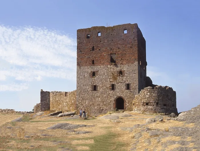 Stampa con cornice : La torre di Hammershus. Stampa con cornice : La torre di Hammershus.