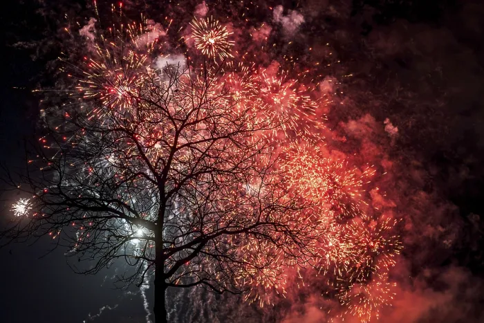 Stampa con cornice : Fuochi d'albero