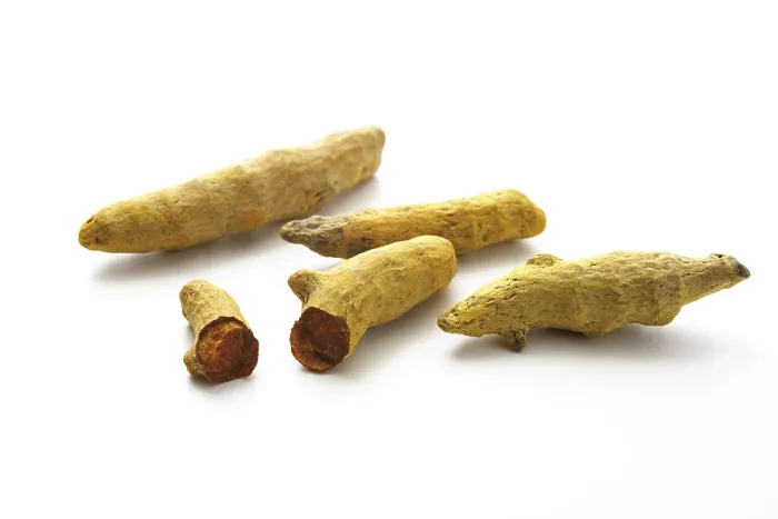 Stampa con cornice : Curcuma lunga Stampa con cornice : Curcuma lunga