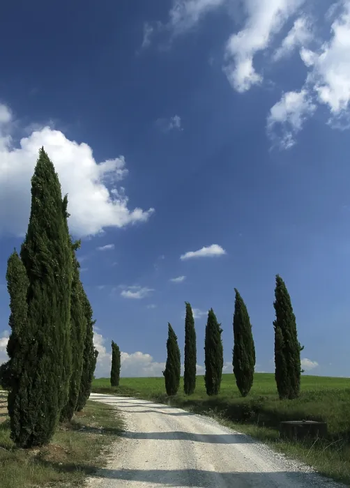 Stampa con cornice : Tuscany
