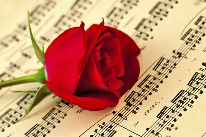 Stampa con cornice : Nota musicale e rosa rossa. Stampa con cornice : Nota musicale e rosa rossa.