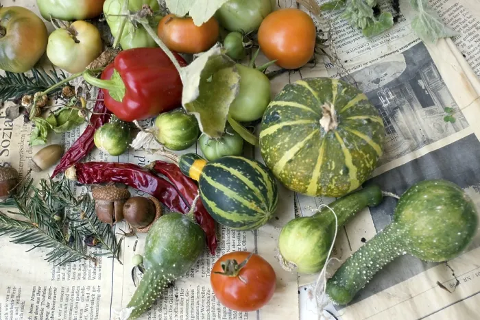 Stampa con cornice : Vegetable Stampa con cornice : Vegetable