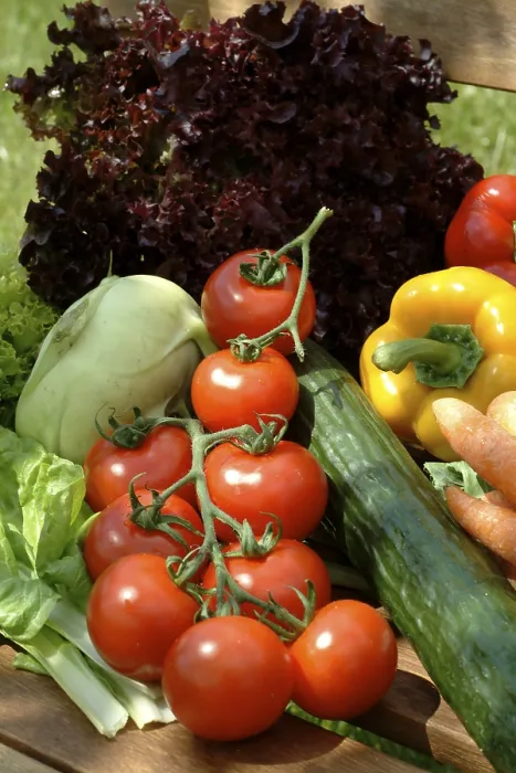 Stampa con cornice : Vegetables Stampa con cornice : Vegetables