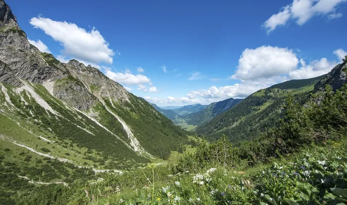Stampa con cornice : Visuale nella valle di Hinterstein.