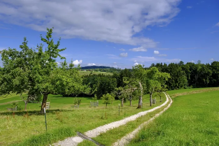 Stampa con cornice : Panorama su frutteti di Schellenberg.