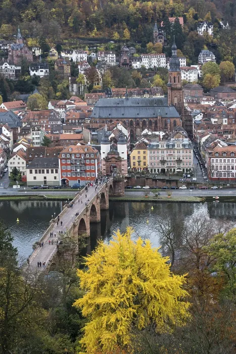Stampa con cornice : Panorama da Philsophenweg al Neckar.