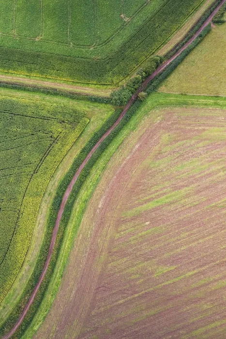 Stampa con cornice : Paesi e campi da un drone. Stampa con cornice : Paesi e campi da un drone.