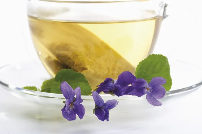 Stampa con cornice : Tè viola