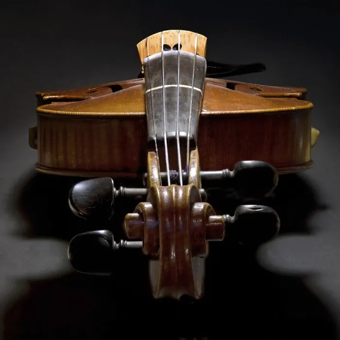 Stampa con cornice : Violin Stampa con cornice : Violin