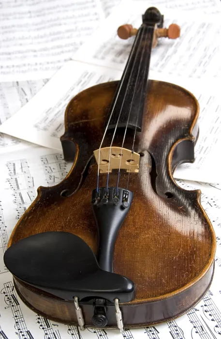 Stampa con cornice : Violin Stampa con cornice : Violin