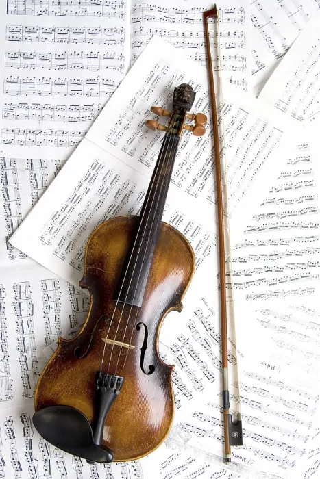 Stampa con cornice : Violin Stampa con cornice : Violin