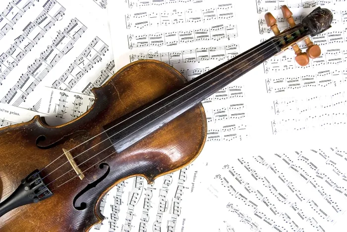 Stampa con cornice : Violin Stampa con cornice : Violin